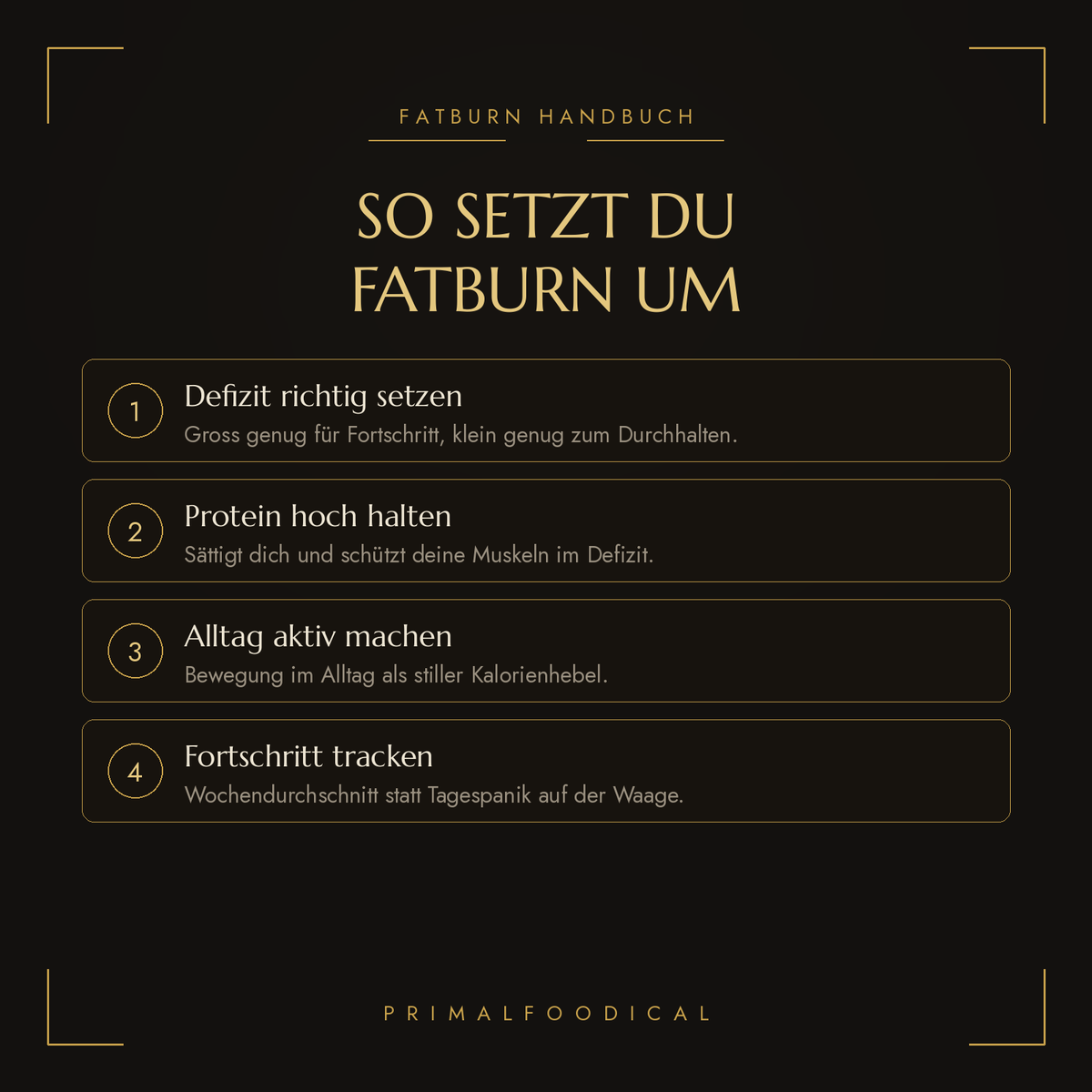 FATBURN - DAS HANDBUCH