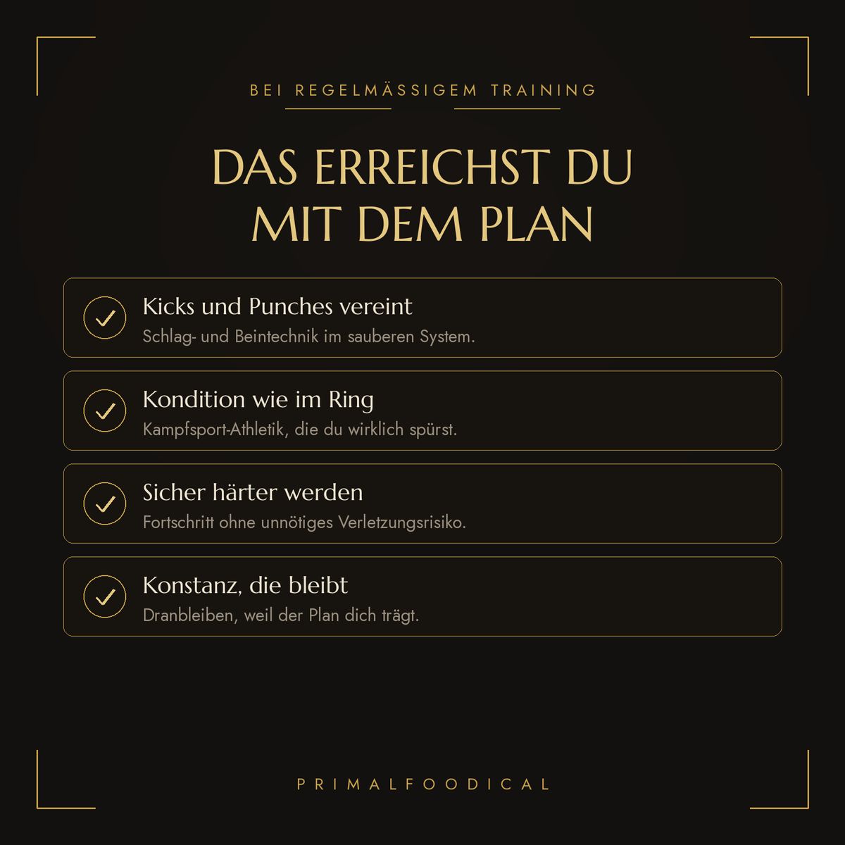 KICKBOXER - TRAININGSPLAN