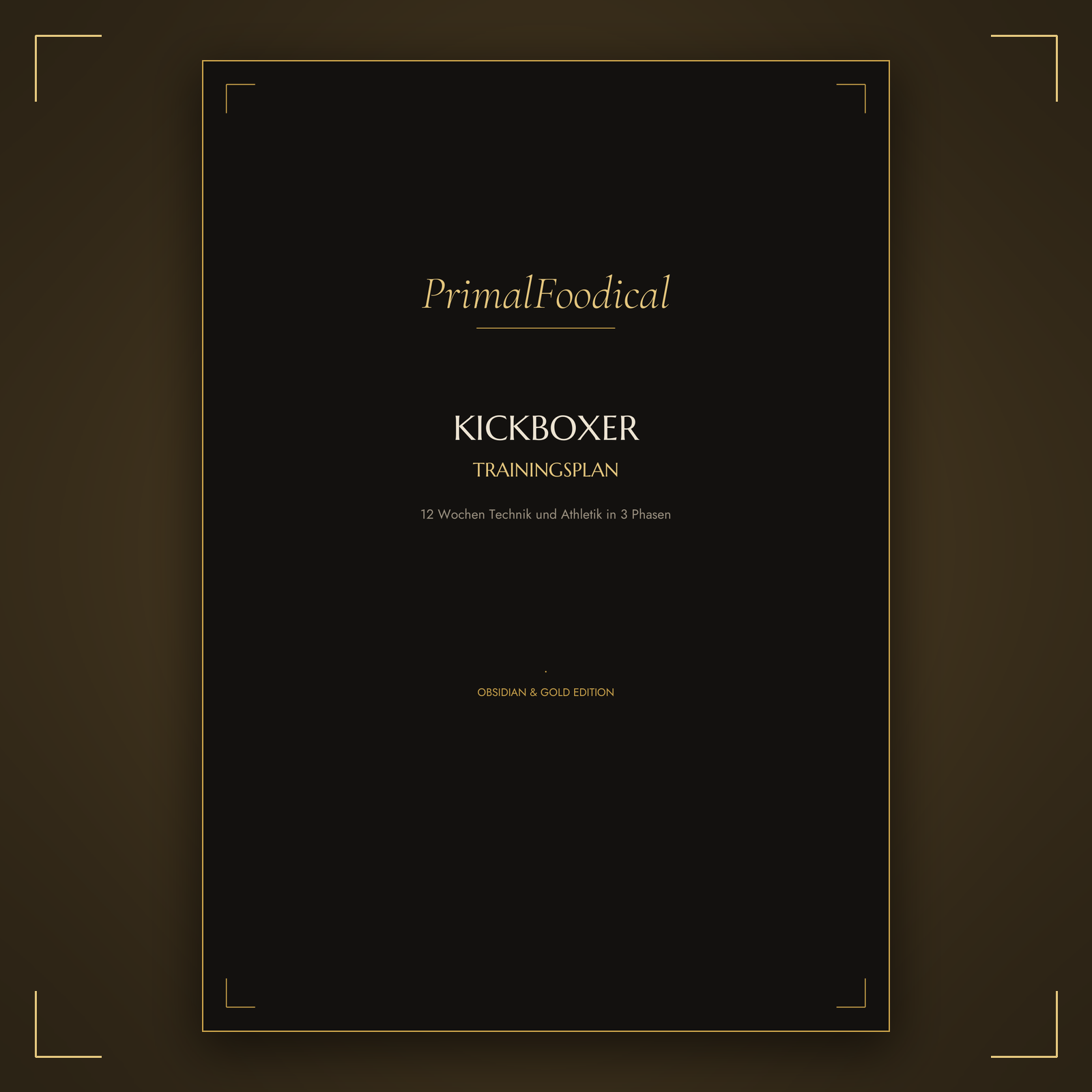 KICKBOXER - TRAININGSPLAN