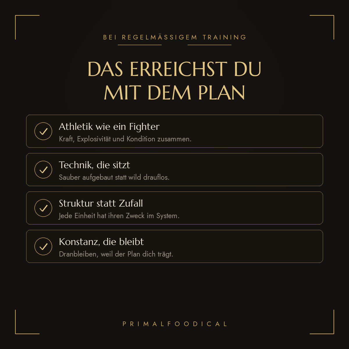 MMA - TRAININGSPLAN