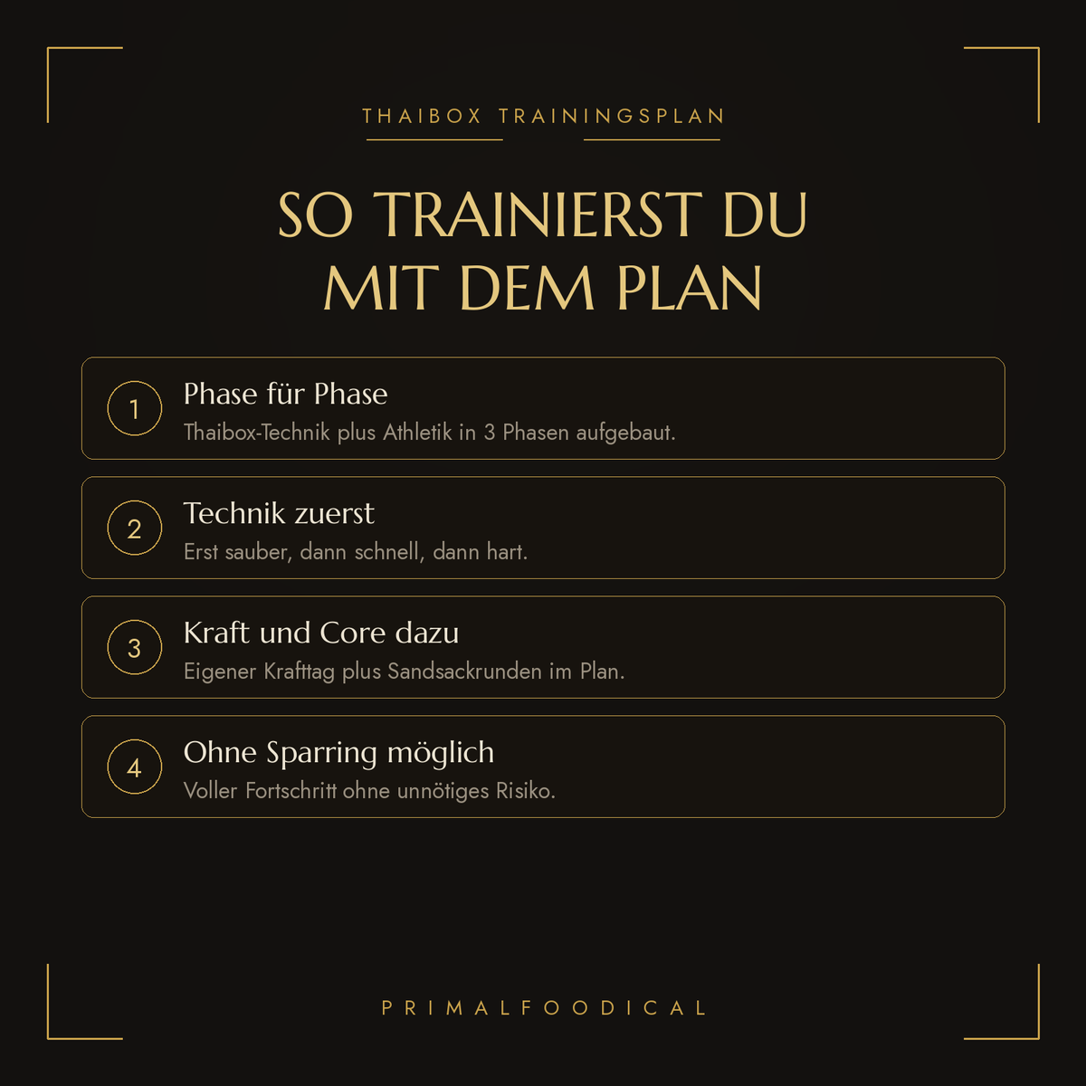 THAIBOXER - TRAININGSPLAN