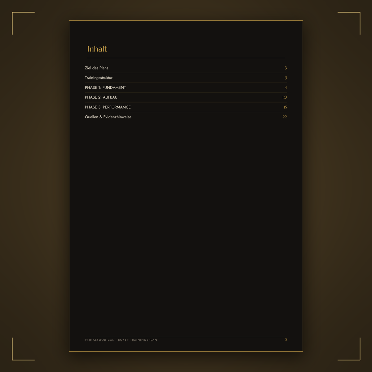 BOXER - TRAININGSPLAN