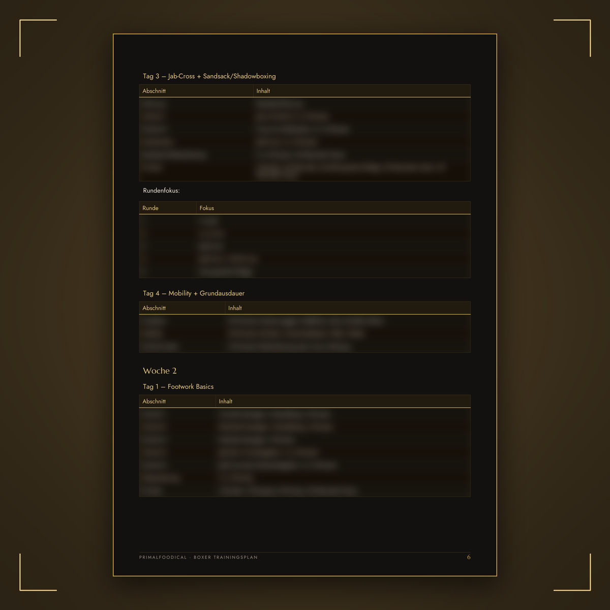 BOXER - TRAININGSPLAN