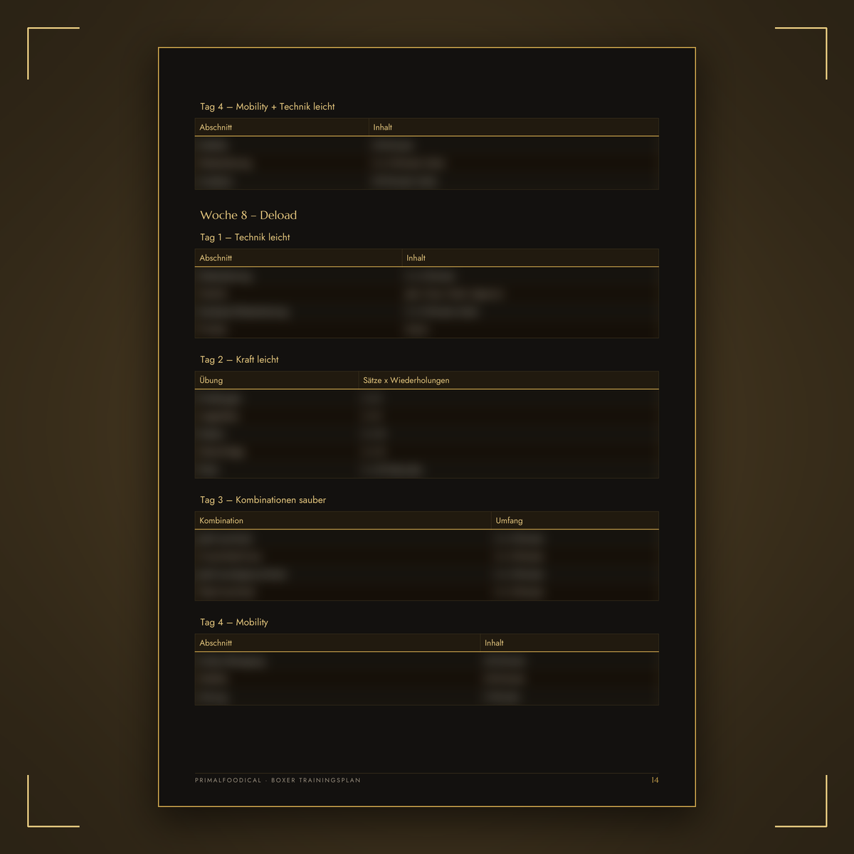 BOXER - TRAININGSPLAN