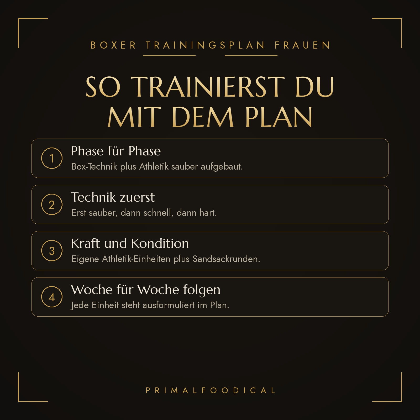 BOXERIN TRAININGSPLAN FRAUEN