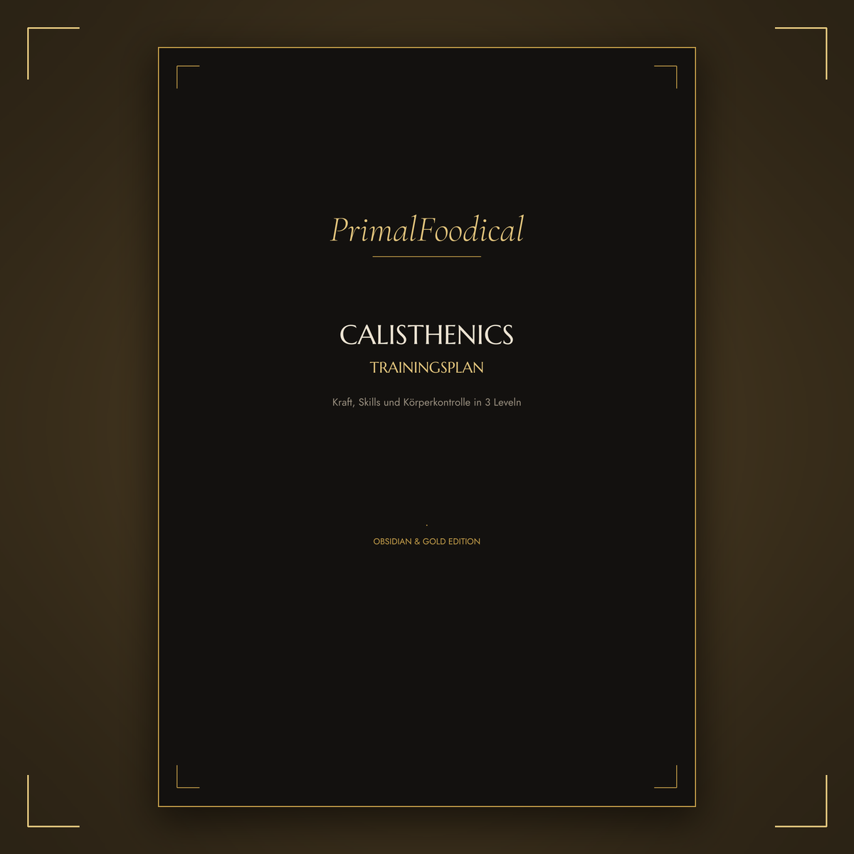 CALISTHENICS - TRAININGSPLAN