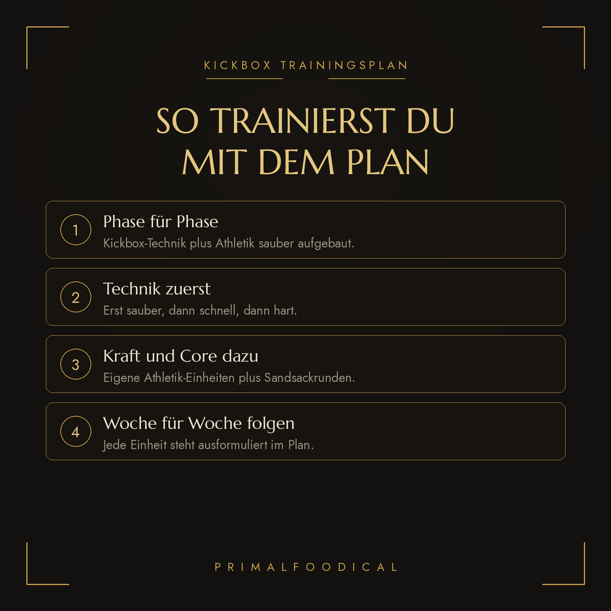 KICKBOXER - TRAININGSPLAN