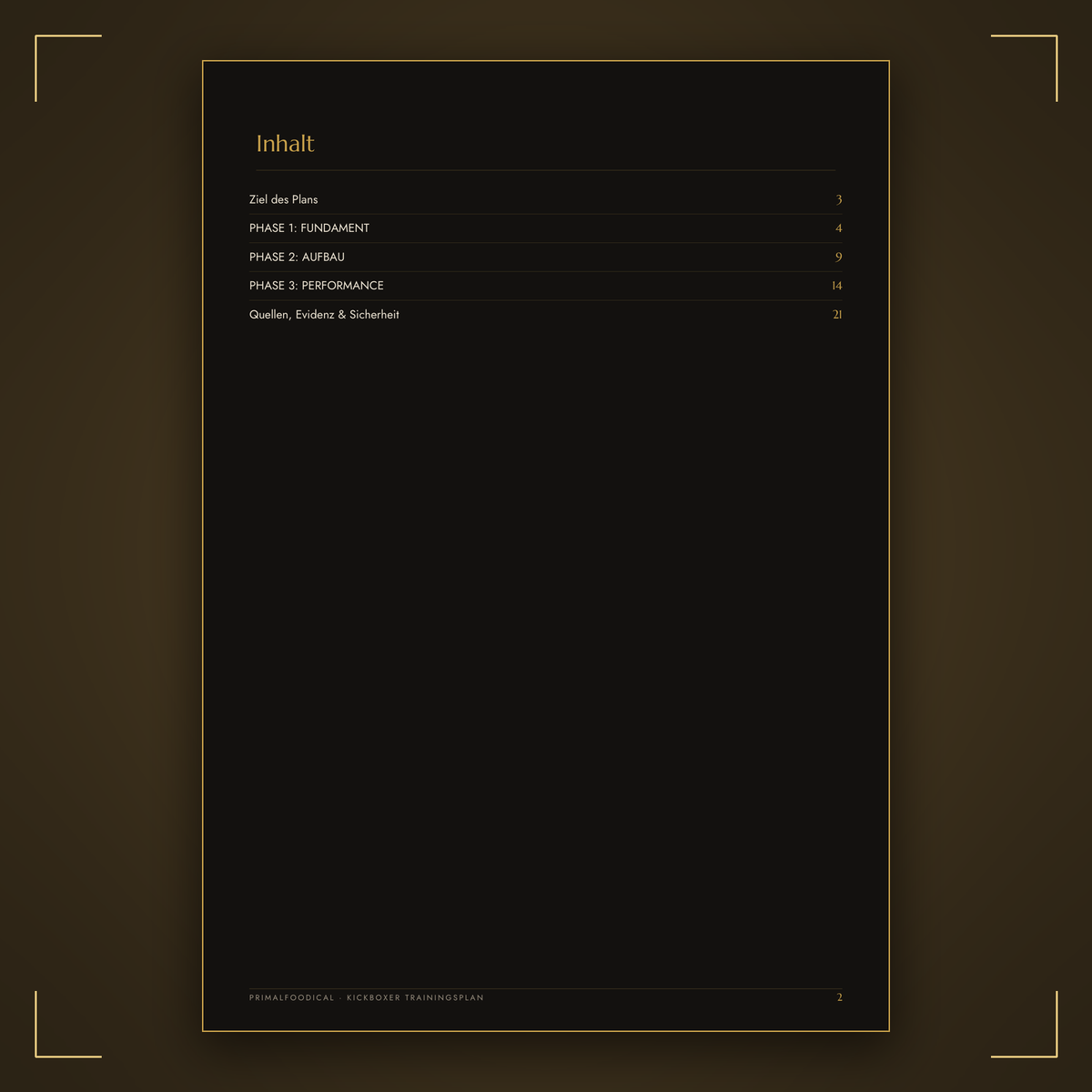 KICKBOXER - TRAININGSPLAN