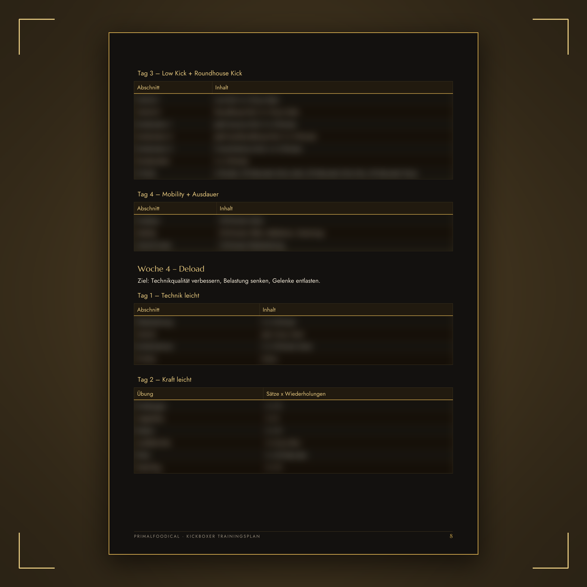 KICKBOXER - TRAININGSPLAN