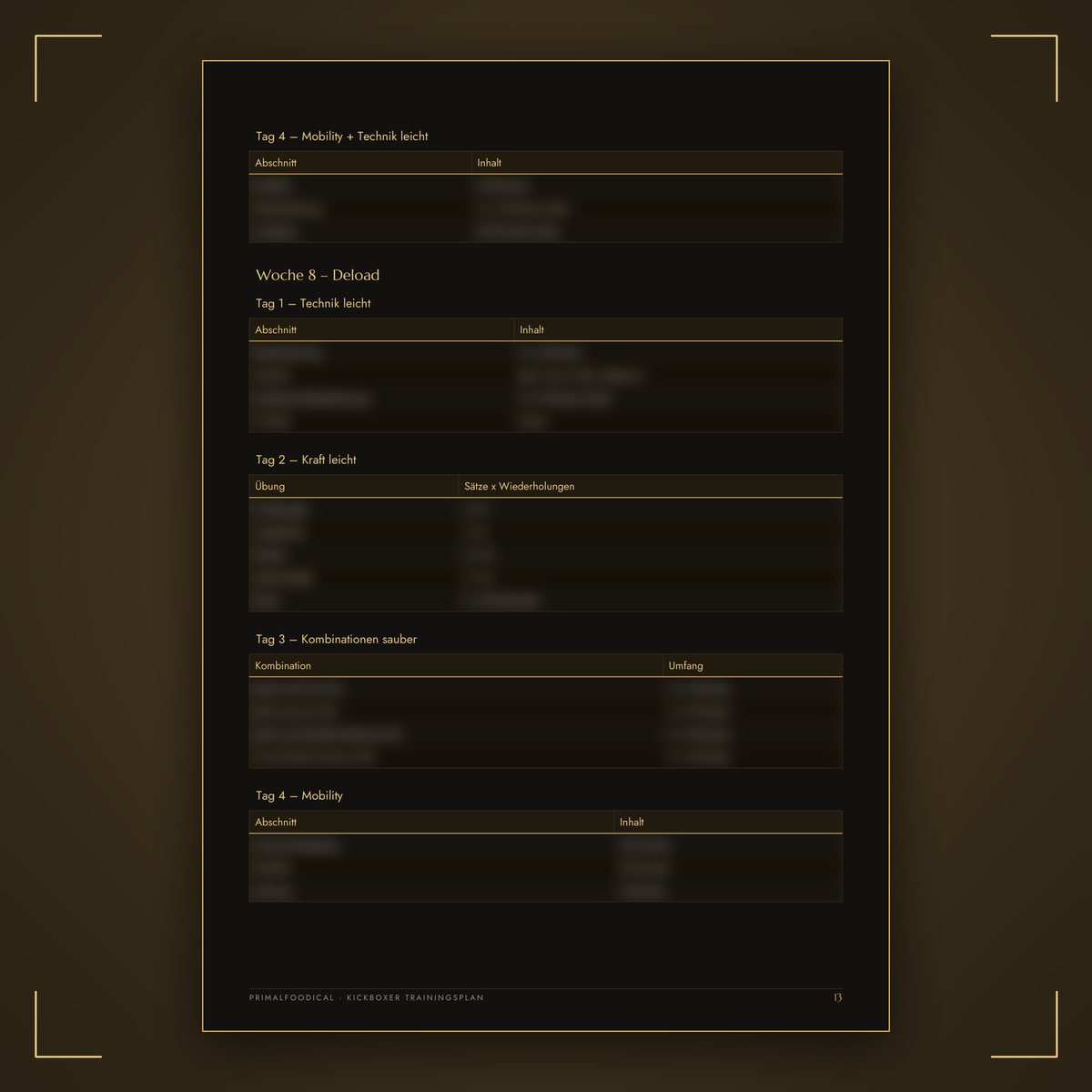 KICKBOXER - TRAININGSPLAN
