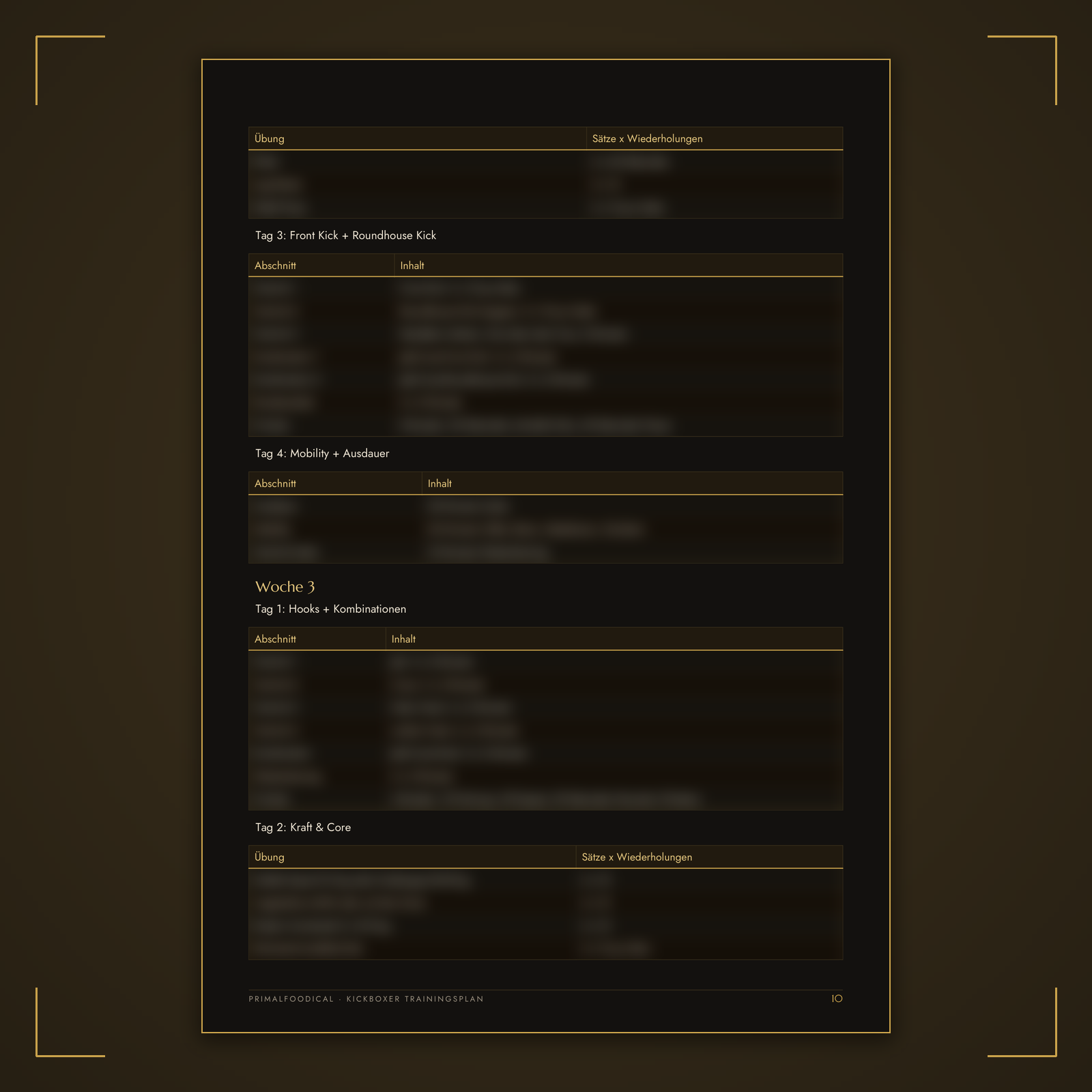 KICKBOXER - TRAININGSPLAN FRAUEN
