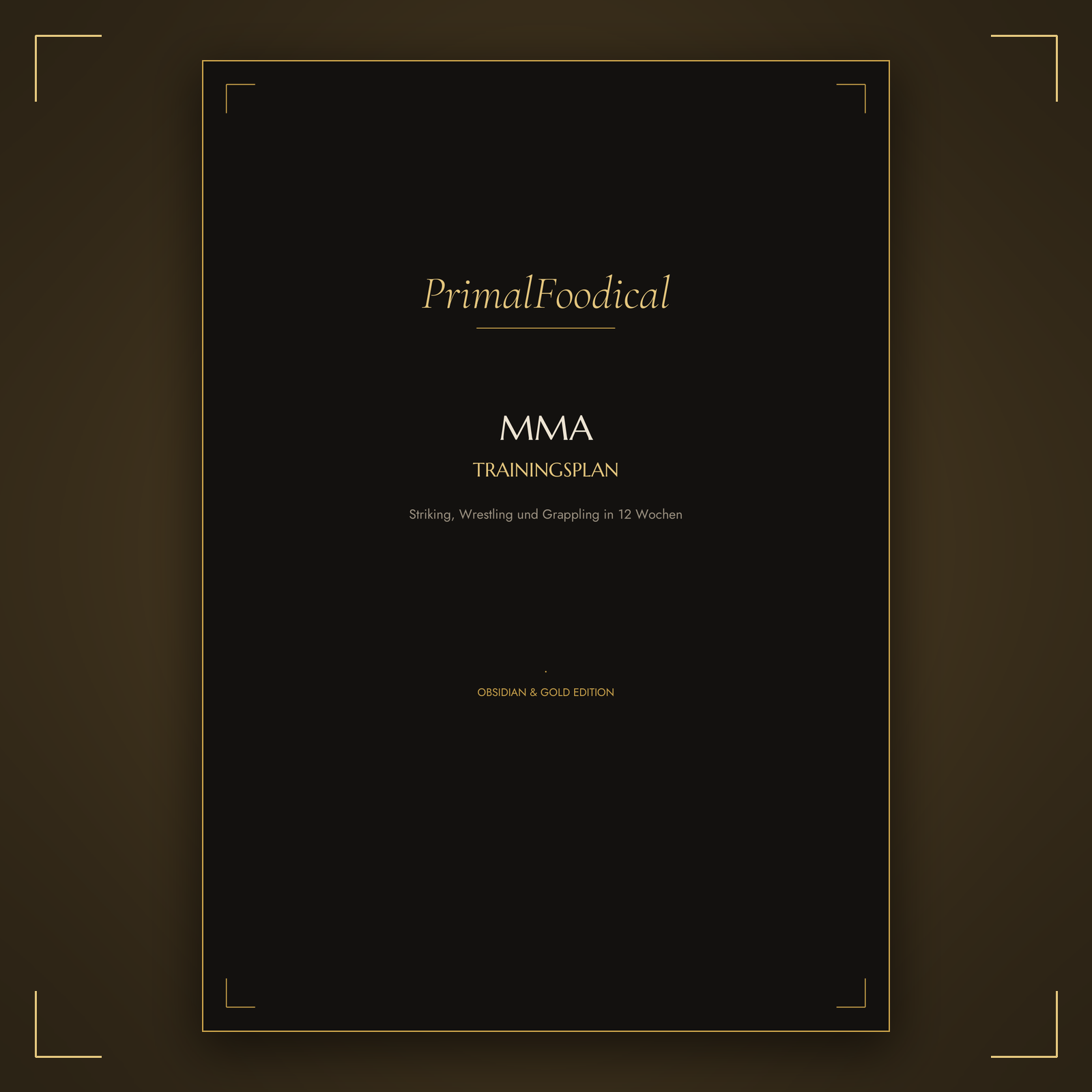 MMA - TRAININGSPLAN