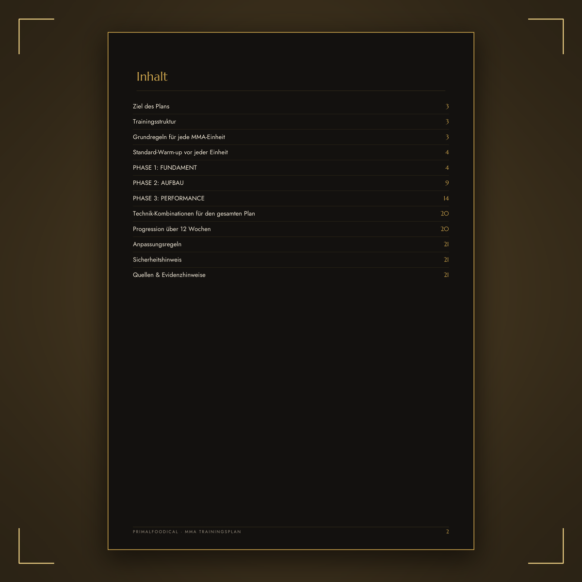 MMA - TRAININGSPLAN