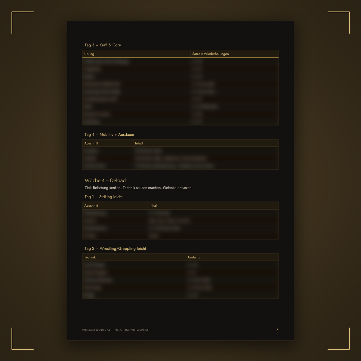MMA - TRAININGSPLAN