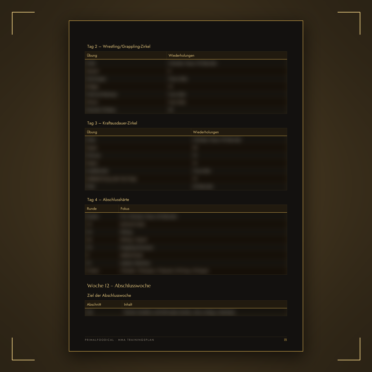 MMA - TRAININGSPLAN