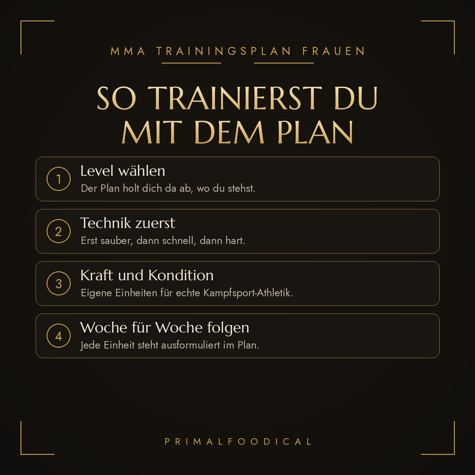 MMA - TRAININGSPLAN FRAUEN