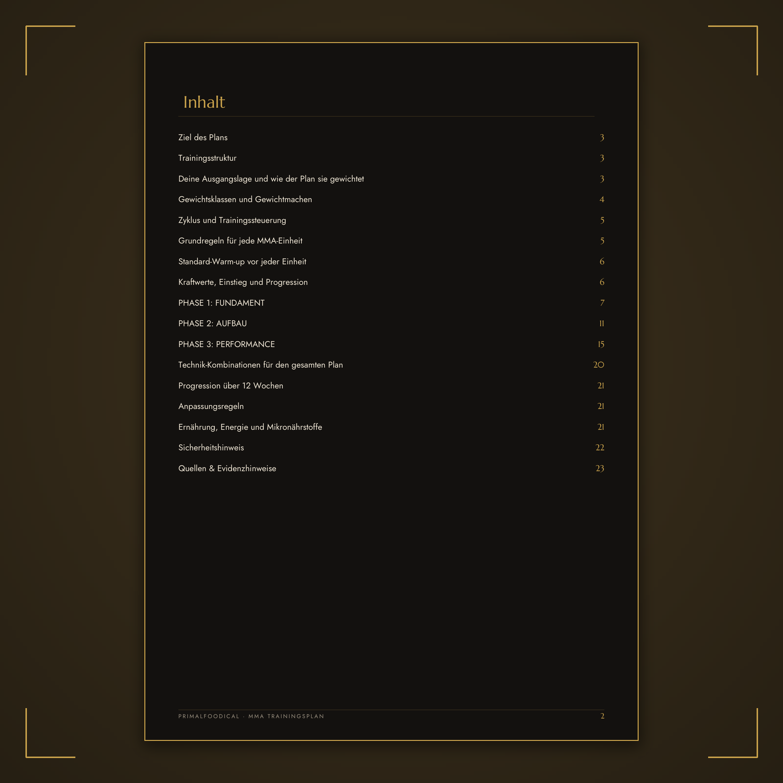 MMA - TRAININGSPLAN FRAUEN