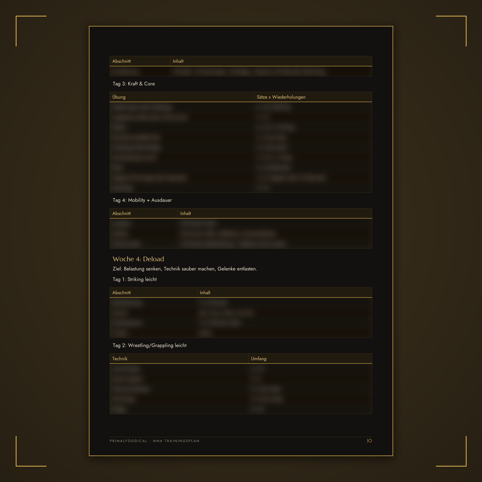 MMA - TRAININGSPLAN FRAUEN