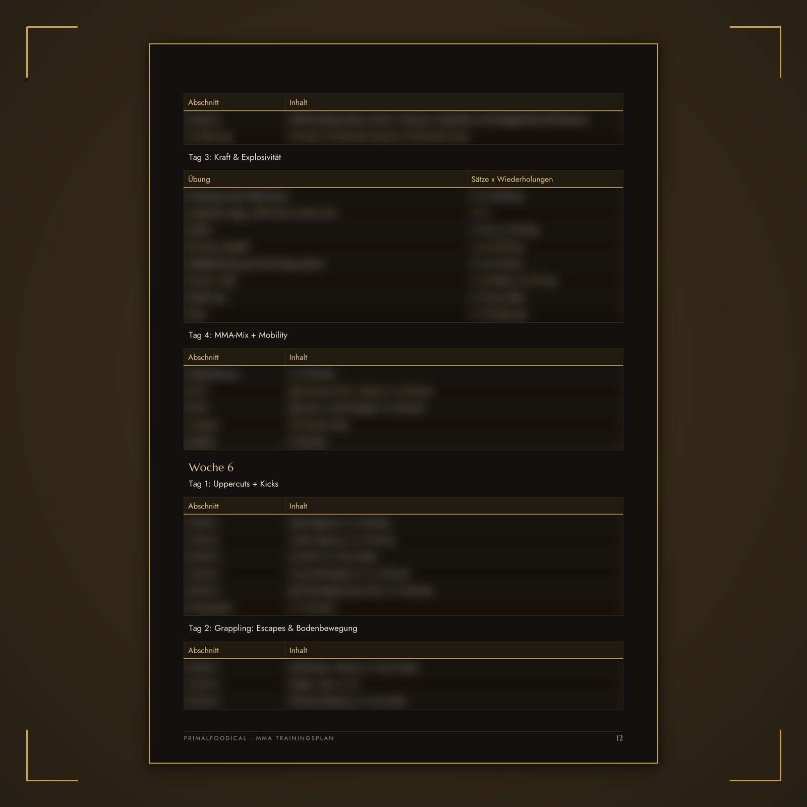 MMA - TRAININGSPLAN FRAUEN