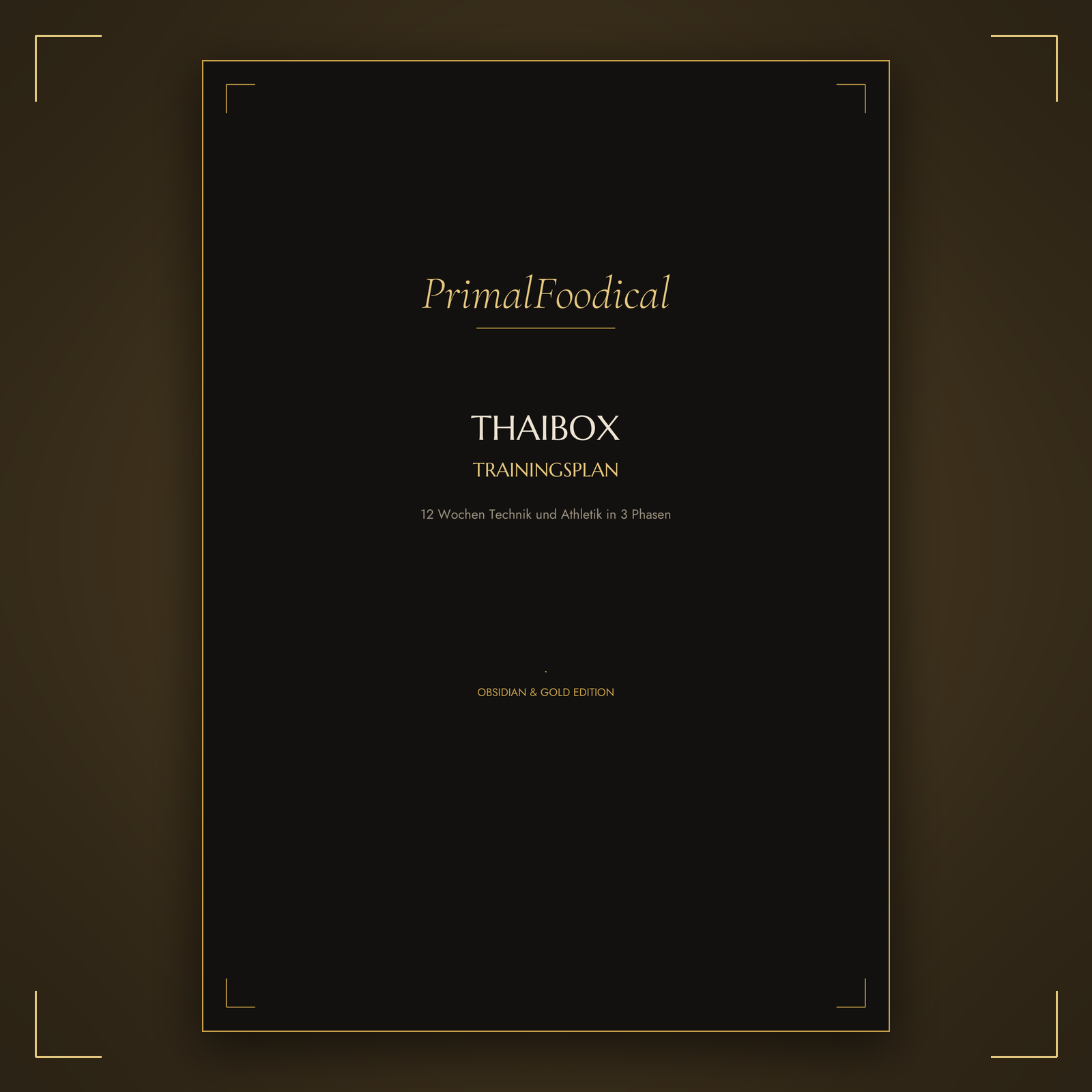 THAIBOXER - TRAININGSPLAN