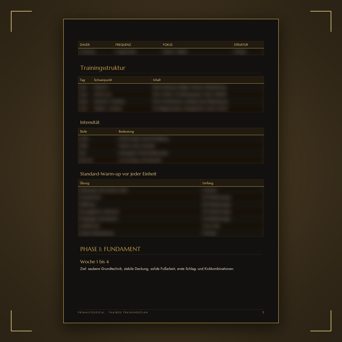 THAIBOXER - TRAININGSPLAN