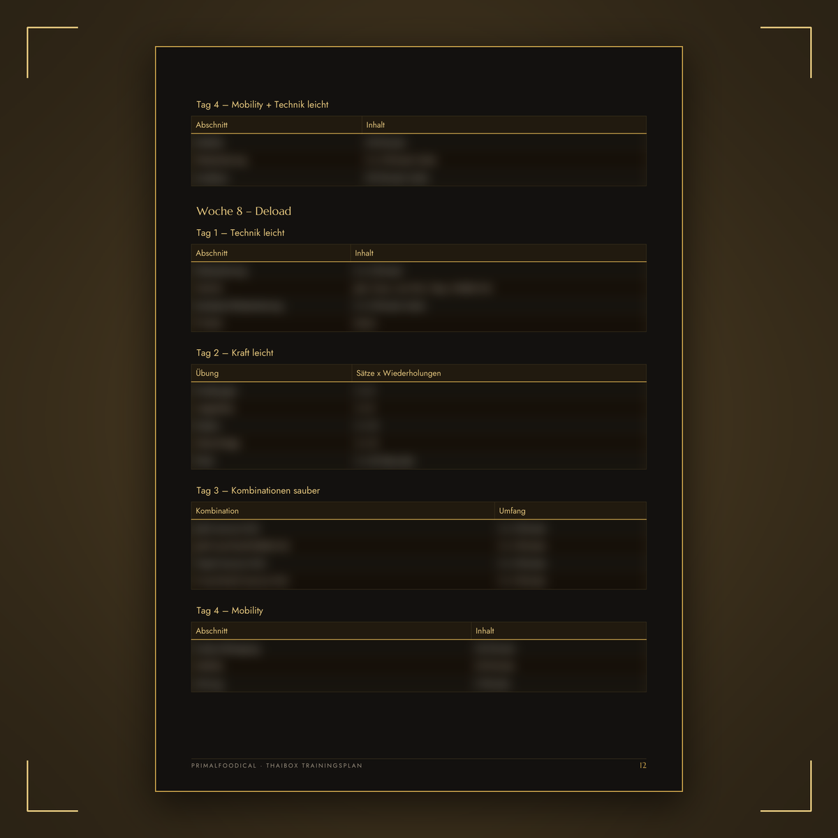 THAIBOXER - TRAININGSPLAN
